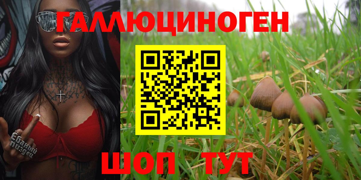 Галлюциногенные грибы Psilocybine cubensis  Вход с VPN  Полысаево 